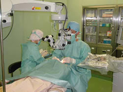 clinic